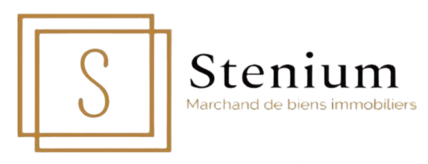 Stenium Logo